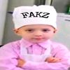 fakz1linshik