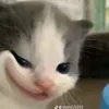 ieuriururir