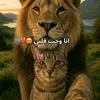 gazal.italia