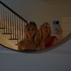 susiereillyy