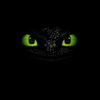 toothless592