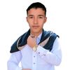munif794