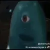 podshonkupidor