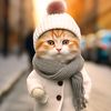 mrmohsinsh889