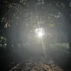henners_orginal