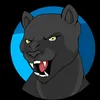 pantherstudio0