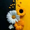 oruc_reis