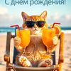 frolovdmitry0