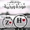 hafsaa547