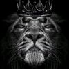 zaidi_max