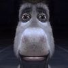 i.am.gojo_satoru