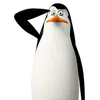 kwalskithecutepenguin