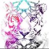 x_bdh10