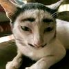 miiiaaawww_2