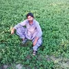 mamtazali972