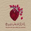 yasenfaysal
