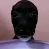 _kh.nhuz_