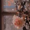 lovegrapee
