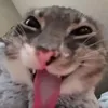 nhatrosy