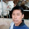 anu12_21