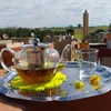 naimadaoudi2272