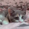 fay___777