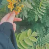 salamo3alykom_