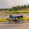jarwo_1135