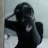 afirah07