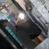 yeoz67