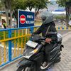 pynnn_80