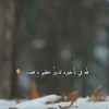 rufida.abdaalalla