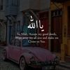robina.majid