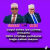 shamsa621