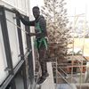 laminewade183