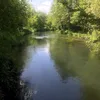tik..tok496