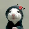 vuhoang007_