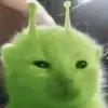 tranthjnh