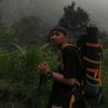 apip.nyell