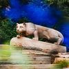 pennstate