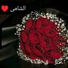 basma.mohammed71