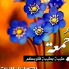 xlm_172