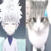 seikyuz