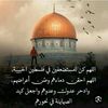 user9505014450897