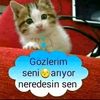 yagmur_gunay_0606