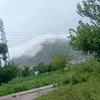 naturefellow1