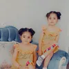 nazdaralheidary