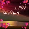 rehanali4115