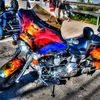 mainlander65
