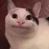 antuneslz